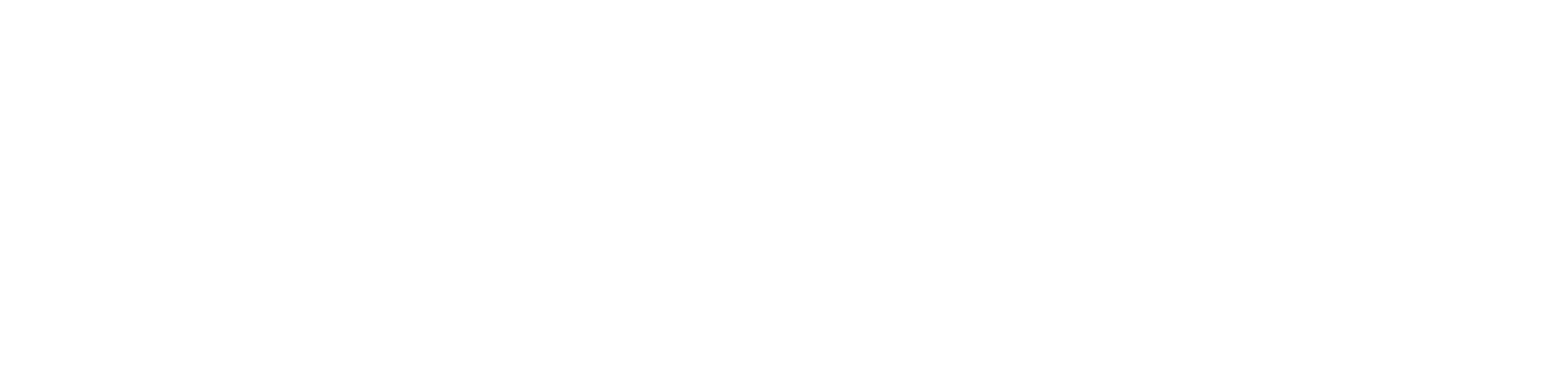 FleetVision